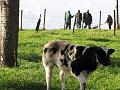 MG Herfstwandeling (43)